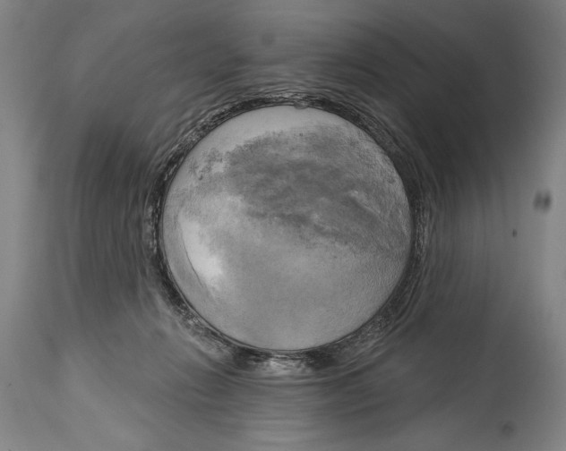 X0000114670270200911181214