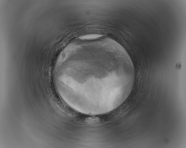 X0000114670271200911181214