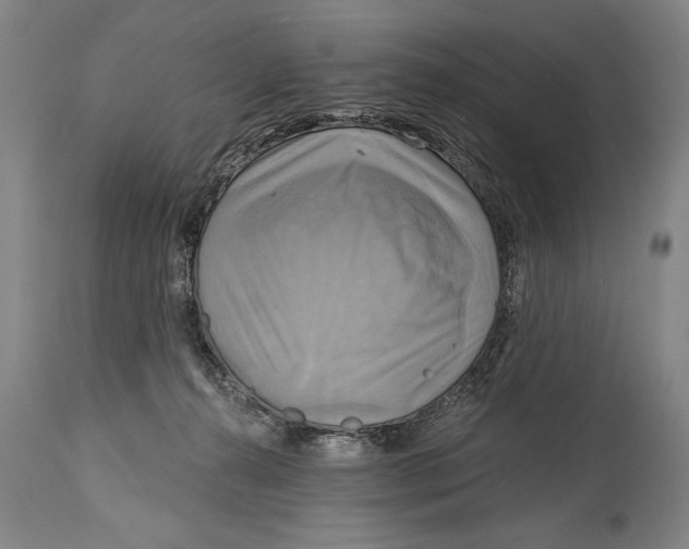 X0000114670272200911181214