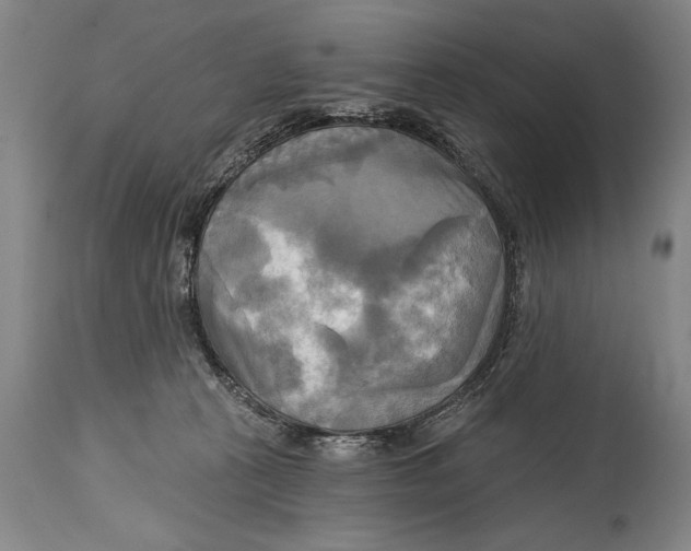 X0000114670273200911181214