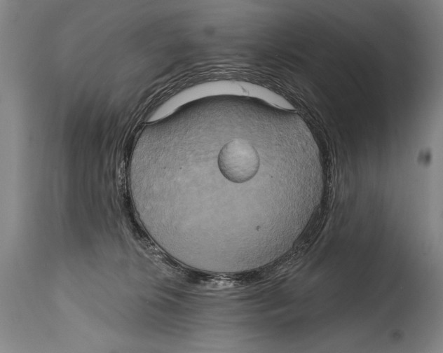 X0000114670276200911181214