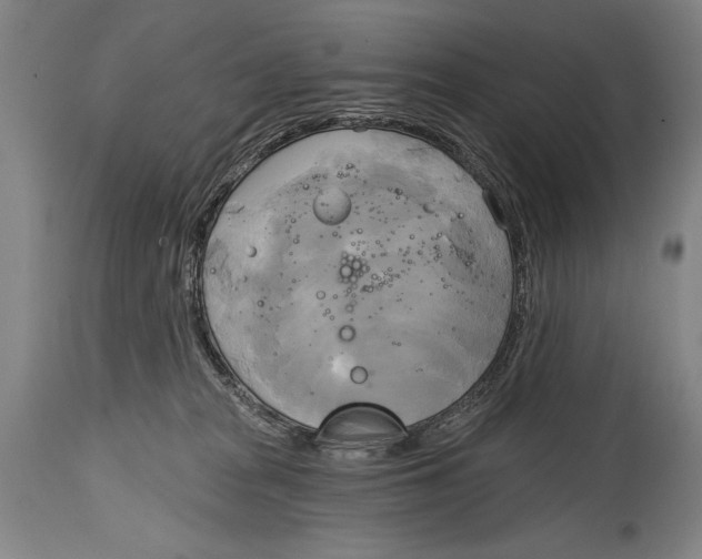 X0000114670277200911181214