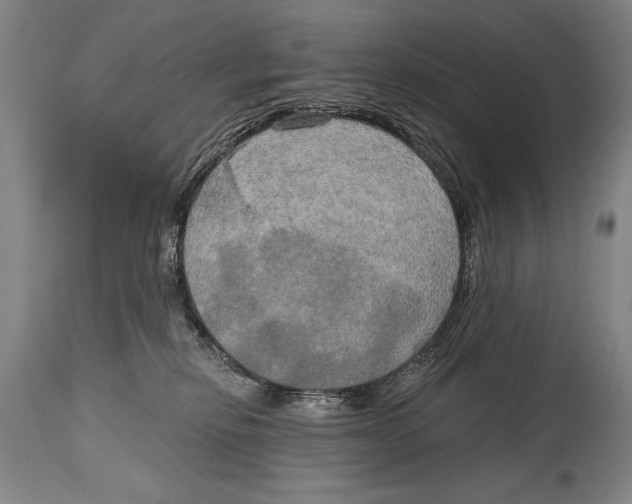 X0000114670278200911181214