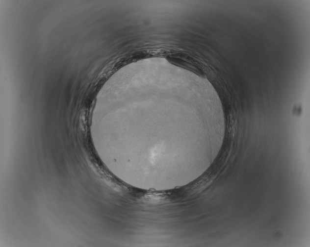 X0000114670280200911181214