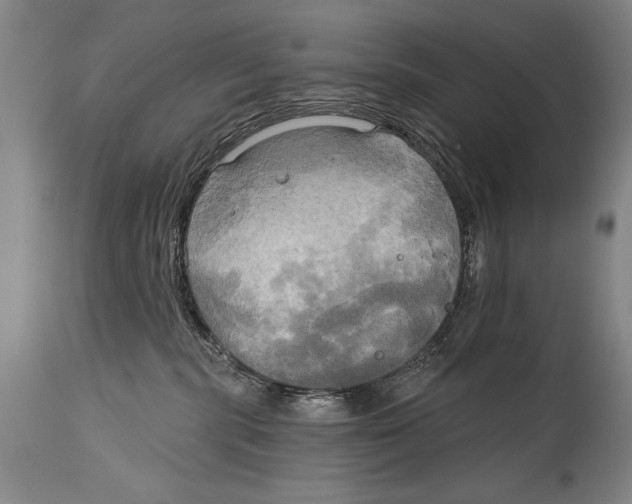 X0000114670283200911181214