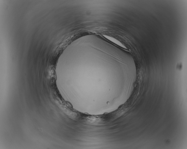 X0000114670284200911181214