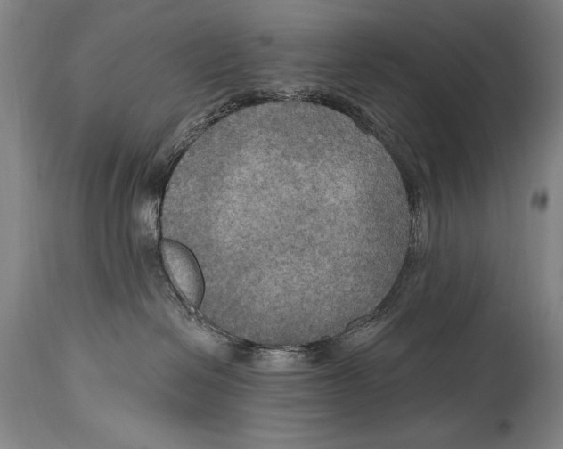 X0000114670286200911181214