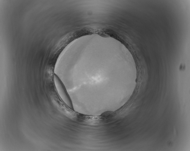 X0000114670288200911181214