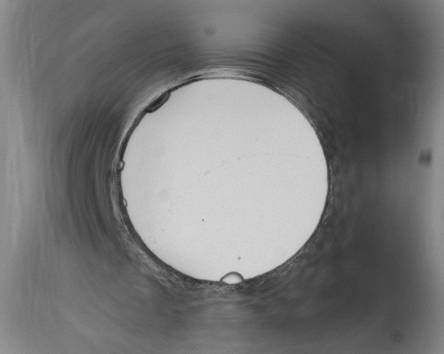 X0000114670289200911181213