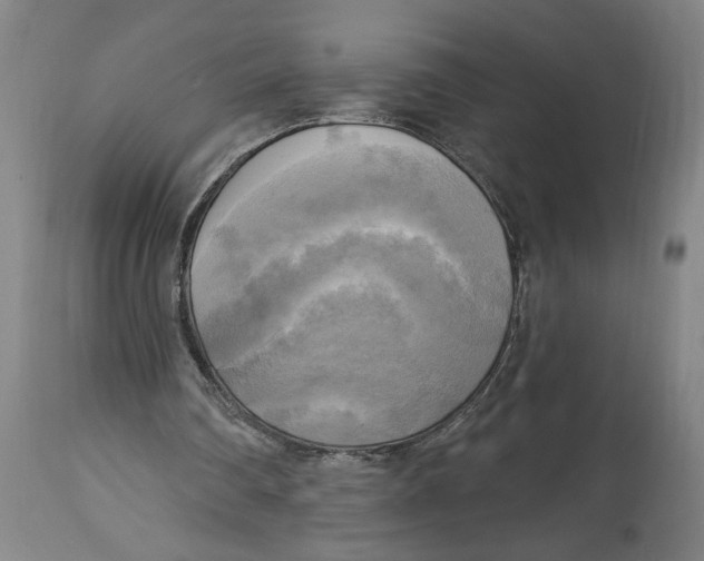 X0000114670290200911181213