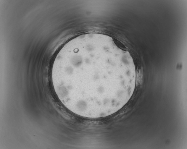 X0000114670291200911181213