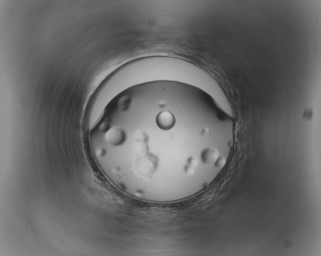 X0000114670292200911181213