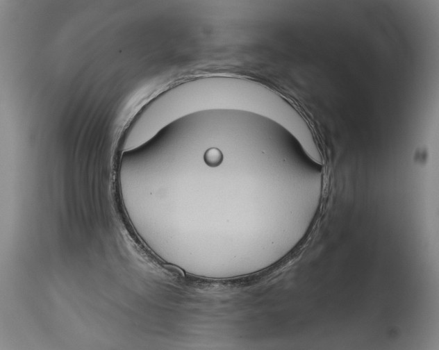 X0000114670293200911181213