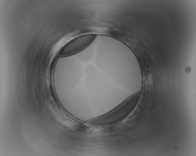 X0000114670294200911181213