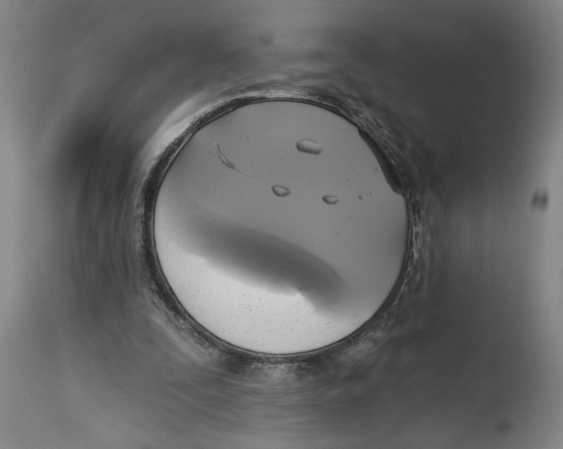 X0000114670295200911181213