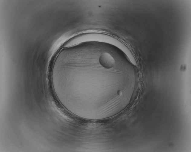 X0000114670296200911181213