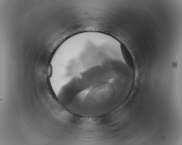 X0000114670297200911181213