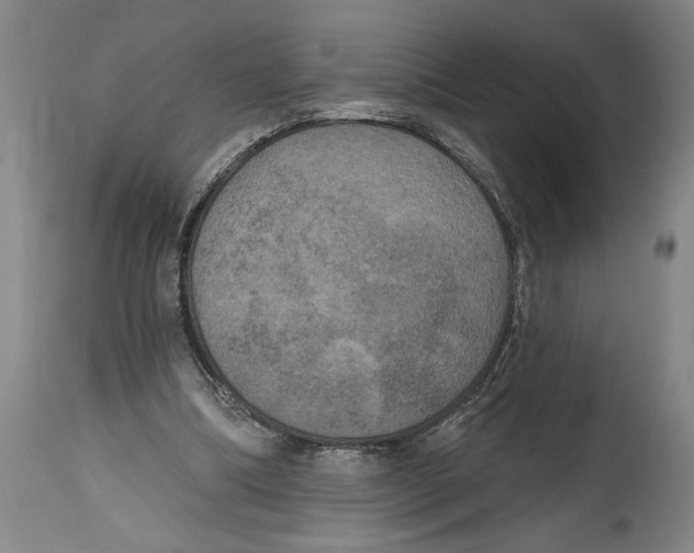 X0000114670298200911181213