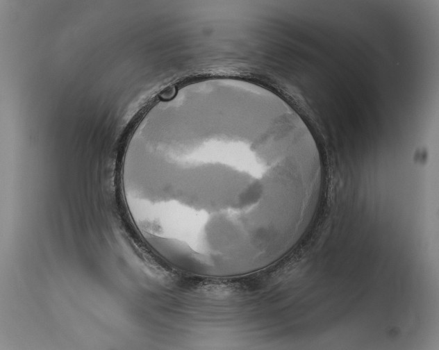 X0000114670299200911181213