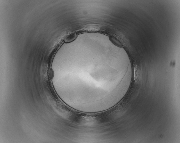 X0000114670300200911181213