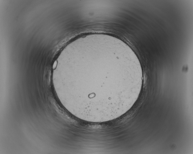 X0000114670301200911181213