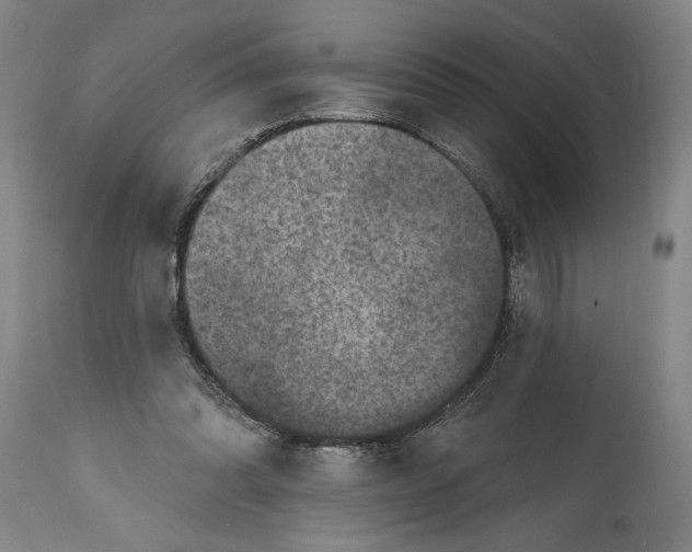 X0000114670302200911181213