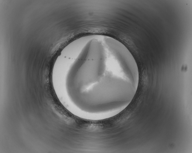 X0000114670303200911181213