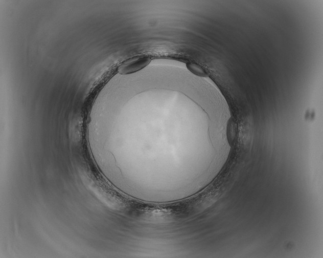 X0000114670304200911181213