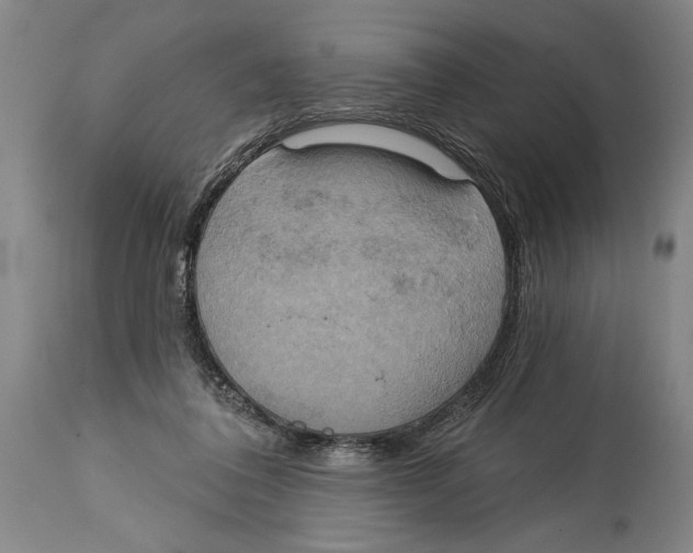 X0000114670308200911181213