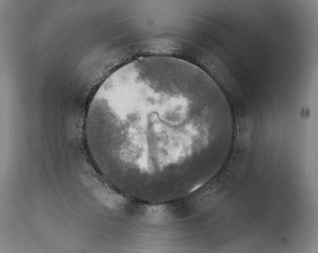 X0000114670309200911181213