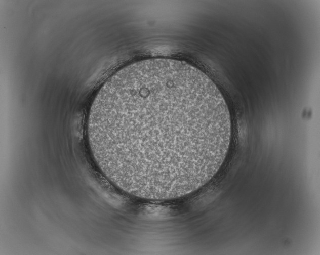 X0000114670311200911181213