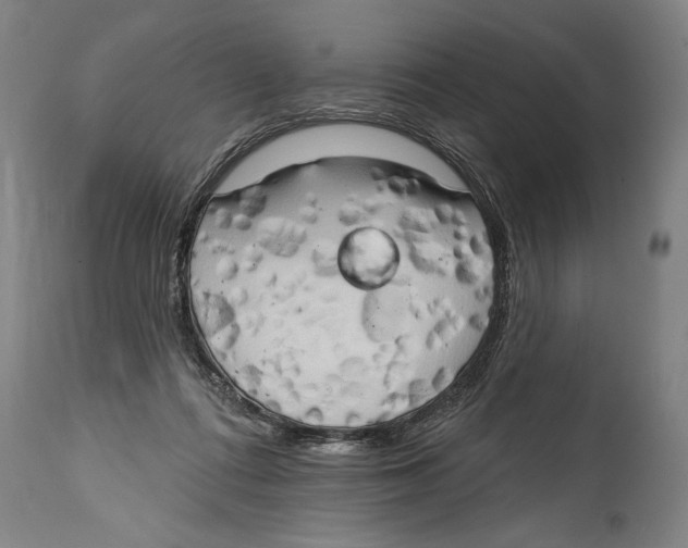 X0000114670312200911181213