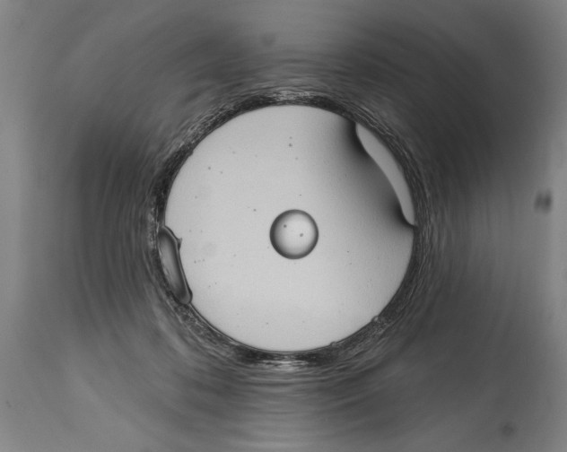 X0000114670316200911181213