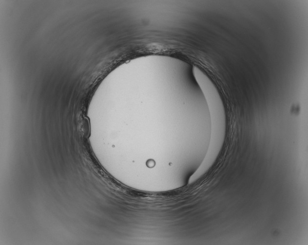 X0000114670317200911181213