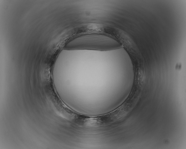 X0000114670320200911181213