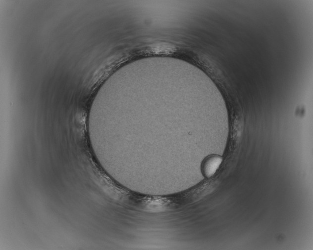 X0000114670321200911181213