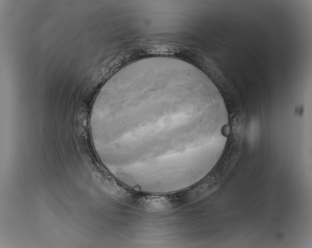 X0000114670322200911181213