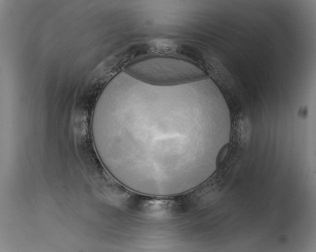 X0000114670323200911181213