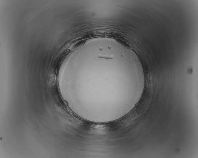 X0000114670324200911181213