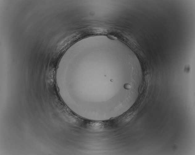 X0000114670325200911181213