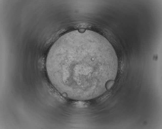 X0000114670326200911181213