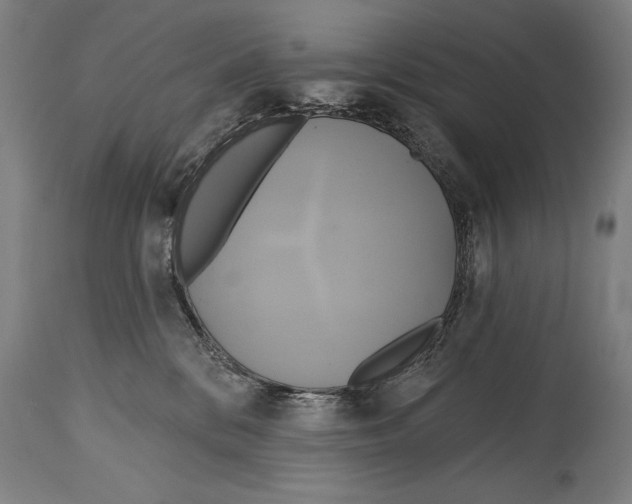 X0000114670328200911181213