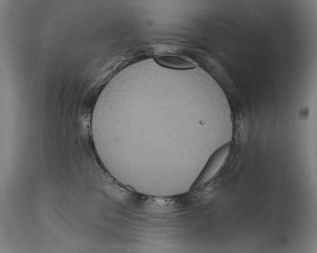 X0000114670329200911181213