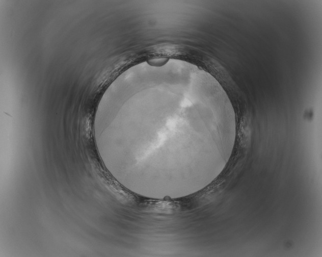 X0000114670330200911181213