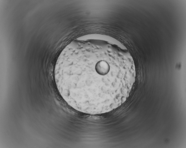 X0000114670332200911181213