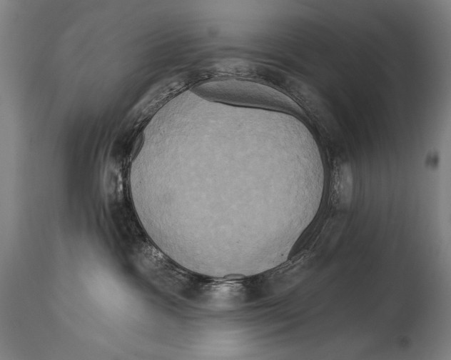 X0000114670333200911181213