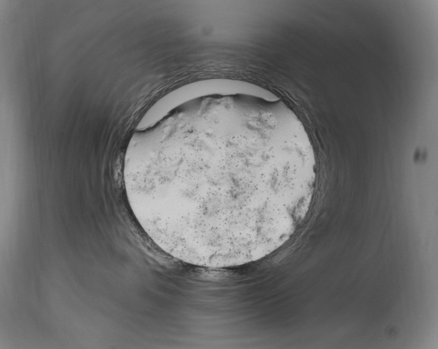 X0000114670336200911181213