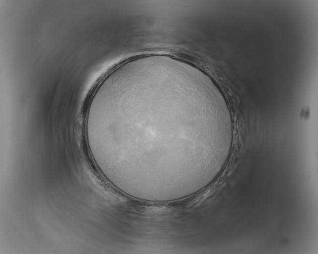 X0000114670342200911181212