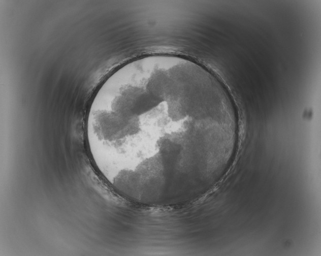 X0000114670345200911181212