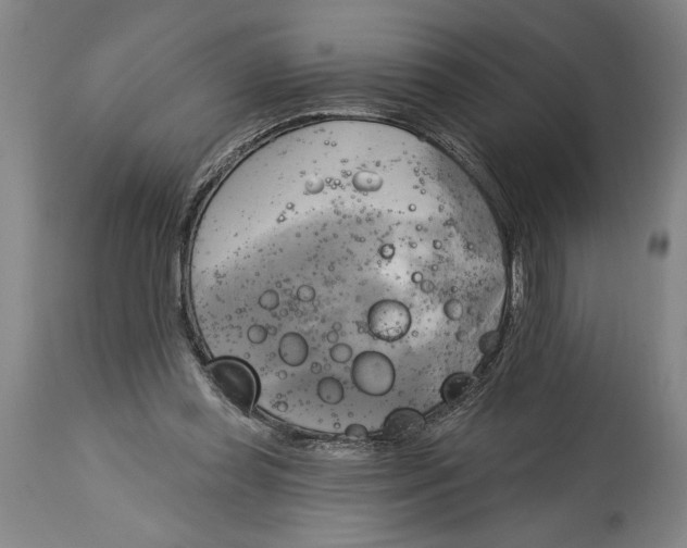 X0000114670349200911181212